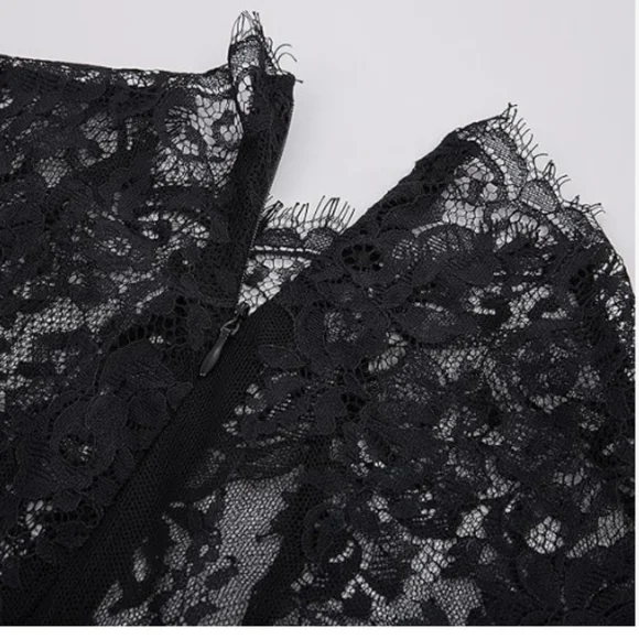 NWT Scarlett Darkness Black Skater Lace Detail Dress 3x - Picture 2 of 3